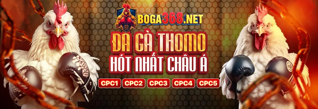 Đá gà trực tuyến sôi động tại Suncity88