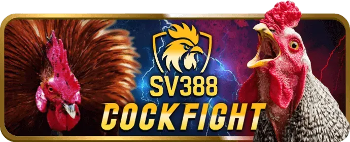 Chiến lược chơi slot Suncity88